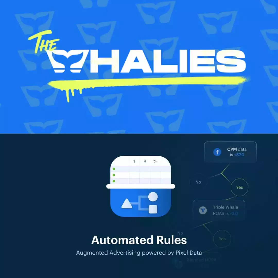 AI Ad Ecom Operating System - Triple Whale